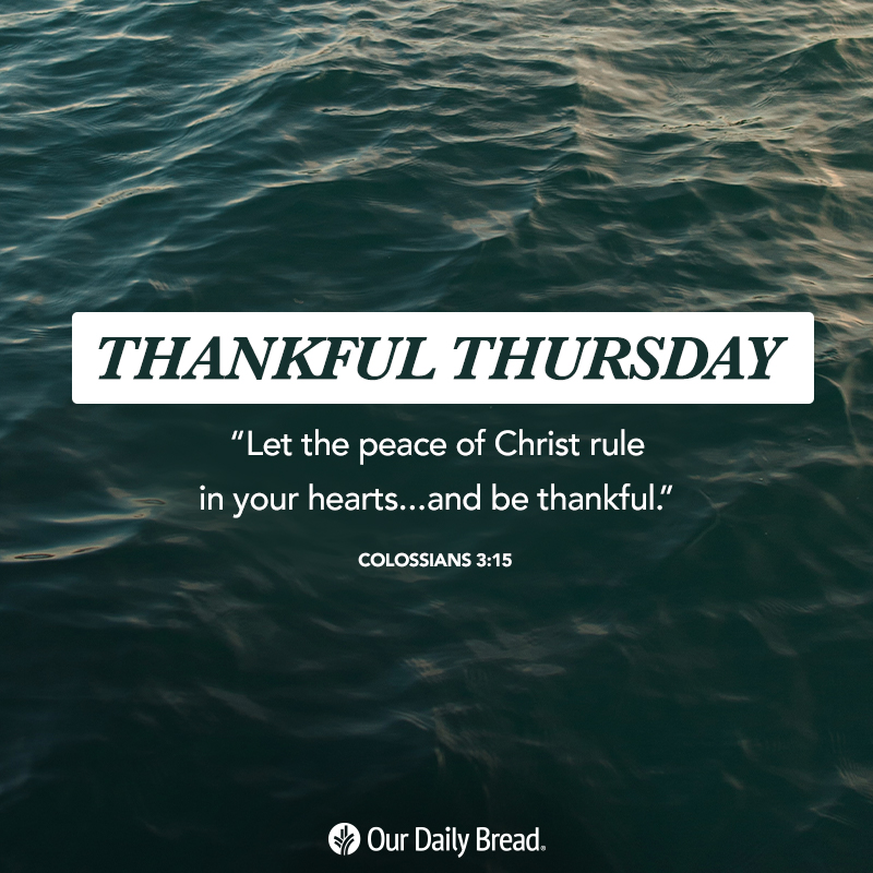 ourdailybread's tweet photo. What are you giving God thanks for today? #ThankfulThursday⠀
⠀
#OurDailyBread #thankful #grateful #gratitude #thankyoujesus #appreciative #givethanksdaily #givethanksinallthings https://t.co/1AFbyF1KD1
