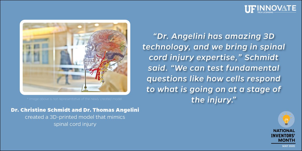 UFOTL's tweet photo. #NationalInventorsMonth 
 Drs. Schmidt &amp; Angelini, @uflmae &amp; @UFBME, created a #3D printed model that mimics spinal cord injuries. Researchers can determine injury progression &amp; find a cure. Learn more about our #UFInventors &amp; their #GatorMade technology! https://t.co/yrDK9IGvkL https://t.co/GLobgvBLNq