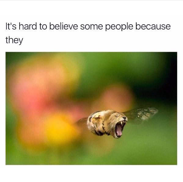 @_ElijahKnapp https://t.co/LuxajQi8vD<a class="tags" target="_blank" title="On Twitter" href="/?out=eyJ0eXAiOiJKV1QiLCJhbGciOiJIUzUxMiJ9.eyJpYXQiOjE3MjY5NDQxNDAsImlzcyI6InR3cG9ybnN0YXJzLmNvbSIsIm5iZiI6MTcyNjk0NDE0MCwiZXhwIjoxNzU4NDgwMTQwLCJyZWRpcmVjdF91cmwiOiJodHRwczovL3R3aXR0ZXIuY29tL19FbGlqYWhLbmFwcCJ9.eJ9vb4W8pyToZ3BoYJnQGFb1lD7rAGK5pN8Rhrags1E6uwgrsnlnH54A__b-8ldHPUsgPigFwZVseeNECIp83A">@_ElijahKnapp</a>