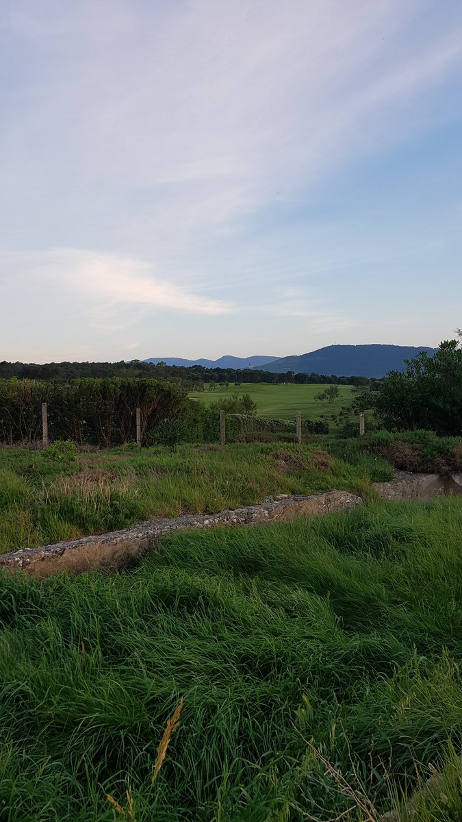 agarbil's tweet photo. I've been walking through this road for years. I already knew there was a golf club on one side. But now every time I go walking and I reach the golf links I cannot stop thinking about the Holland family @domholland @TomHolland1996 @HarryHolland99 ⛳ https://t.co/v2I5Cgd4Bt