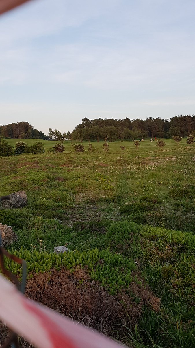 agarbil's tweet photo. I've been walking through this road for years. I already knew there was a golf club on one side. But now every time I go walking and I reach the golf links I cannot stop thinking about the Holland family @domholland @TomHolland1996 @HarryHolland99 ⛳ https://t.co/v2I5Cgd4Bt