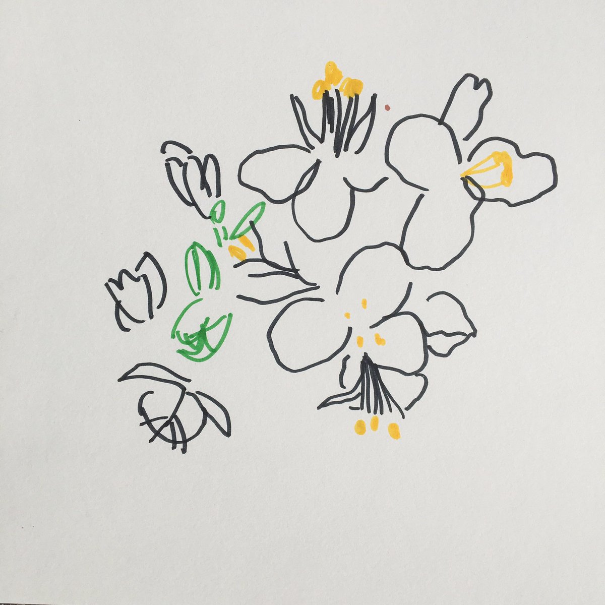 artintheparktwt's tweet photo. Thank you to those who came to today’s online Seasons Watch session 🌷🌼🌸@ElephantParkLDN https://t.co/PV6uGoIUTo