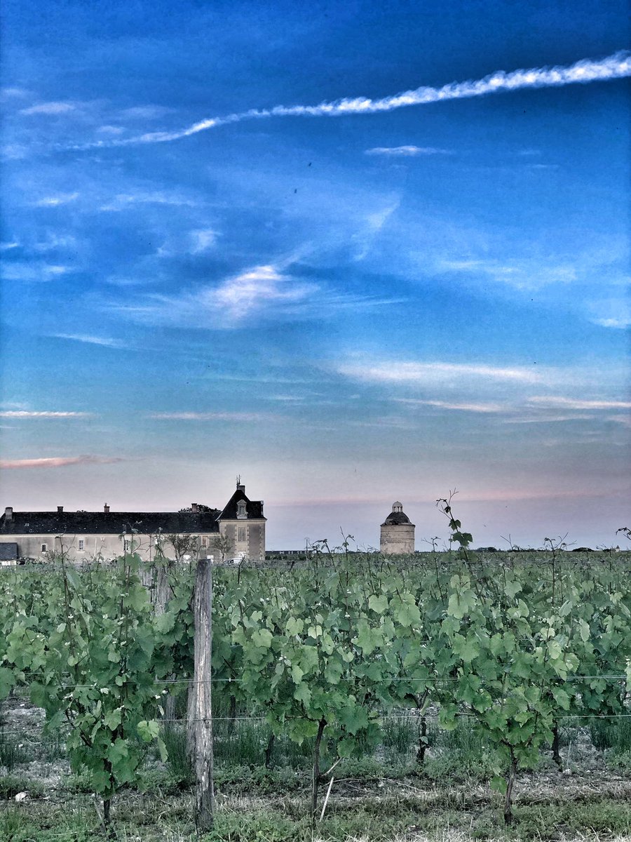 You could be forgiven for thinking this was #Bordeaux or even #Champagne and on one hand you would be right,  it is in fact Champagne but in the #loirevalley #vineyards on a balmy May evening just outside Le Puy Notre Dame. #loirevineyards #loirewinetours