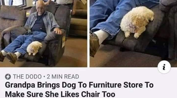 WholesomeMemes (@wholesomememe) on Twitter photo 