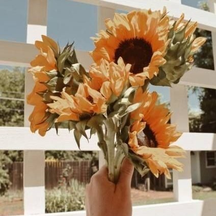 Moxvist's tweet photo. ❝
𝓦𝓮 𝓪𝓻𝓮 𝓽𝓱𝓮 𝓼𝓽𝓪𝓻𝓼 𝓸𝓯 𝓮𝓪𝓬𝓱𝓸𝓽𝓱𝓮𝓻
⠀⠀⠀⠀⠀⠀⠀⠀⠀⠀⠀⠀— ᴾʳᵒᵐⁱˢᵉ

[#AtinySelcaDay @ATEEZofficial https://t.co/45iCchoeW1