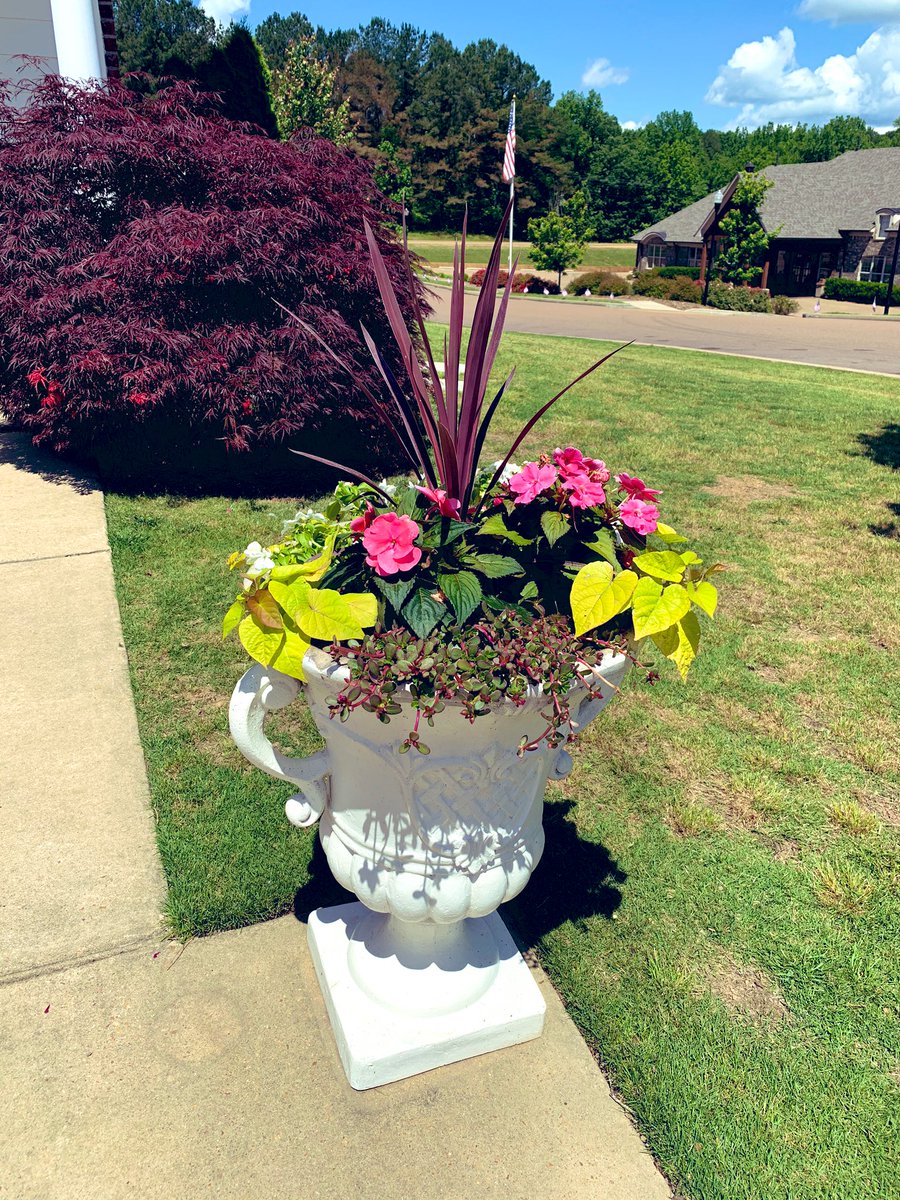 I love this pot at our house! #Floral_Distancing #GrowingFlowers