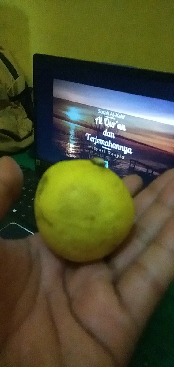 AzisAbdul6's tweet photo. Lemon https://t.co/4ZrYcpEICc