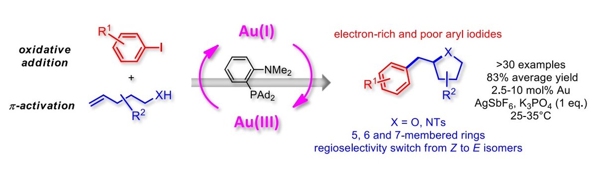 gold_chem's tweet photo. Gold(I)/Gold(III) Catalysis Merging Oxidative Addition and π‐Alkene Activation @LBPB_Lab @angew_chem: https://t.co/3QWzE6Z0b9 https://t.co/0gOa9eJLBu
