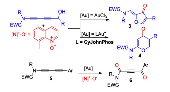 gold_chem's tweet photo. Gold-Catalyzed Oxidations of 1,3-Diynamides with C(1) versus C(3) Regioselectivity: Catalyst-Dependent Oxidative Cyclizations in the C(3) Oxidation (Liu) @JOC_OL: https://t.co/zPF29QMjPF https://t.co/9DpDEExC94
