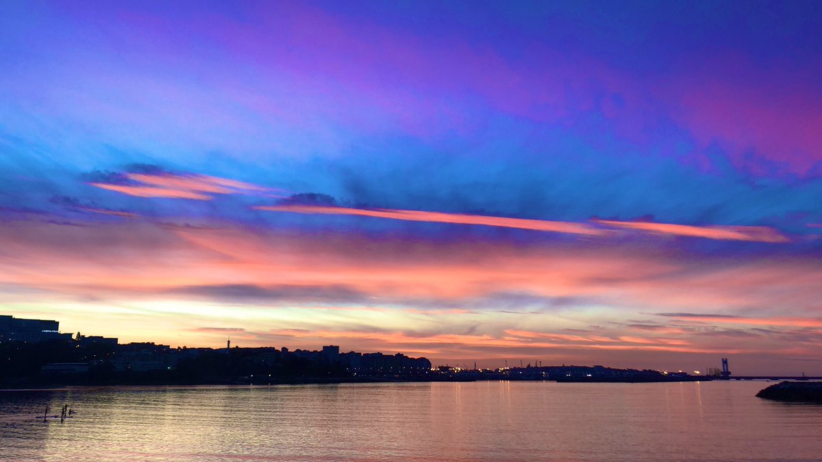 Noa Sánchez 🍍 tweet media