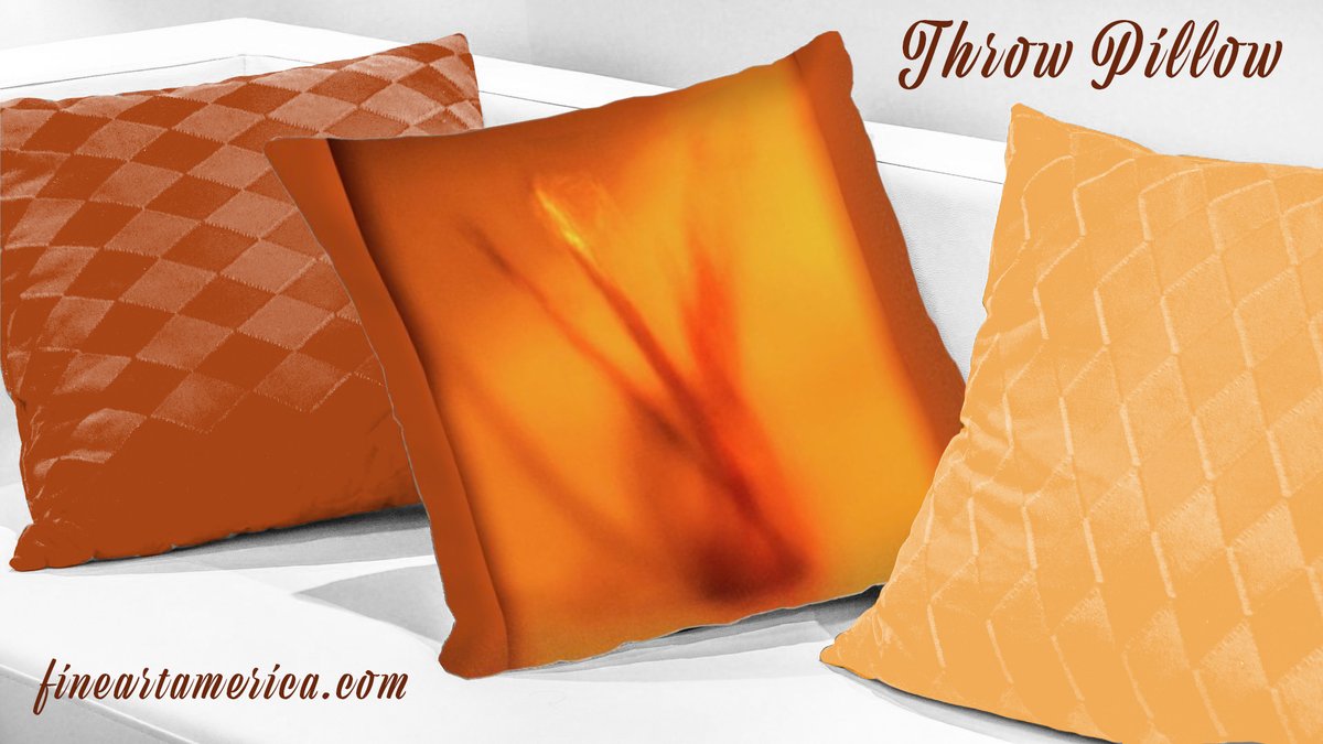 Veron2V's tweet photo. Throw PILLOW Paintbrushes In A Glass Jar.  Still life.  Photographing through glass. https://t.co/BFEboXv6EC #photography #stilllife  #orange #paintbrashes #bright #watercolor #fineartamerica  #giftideas #printondemand #printshops #pillows #throwpillows @fineartamerica https://t.co/AeD2PCb5yc
