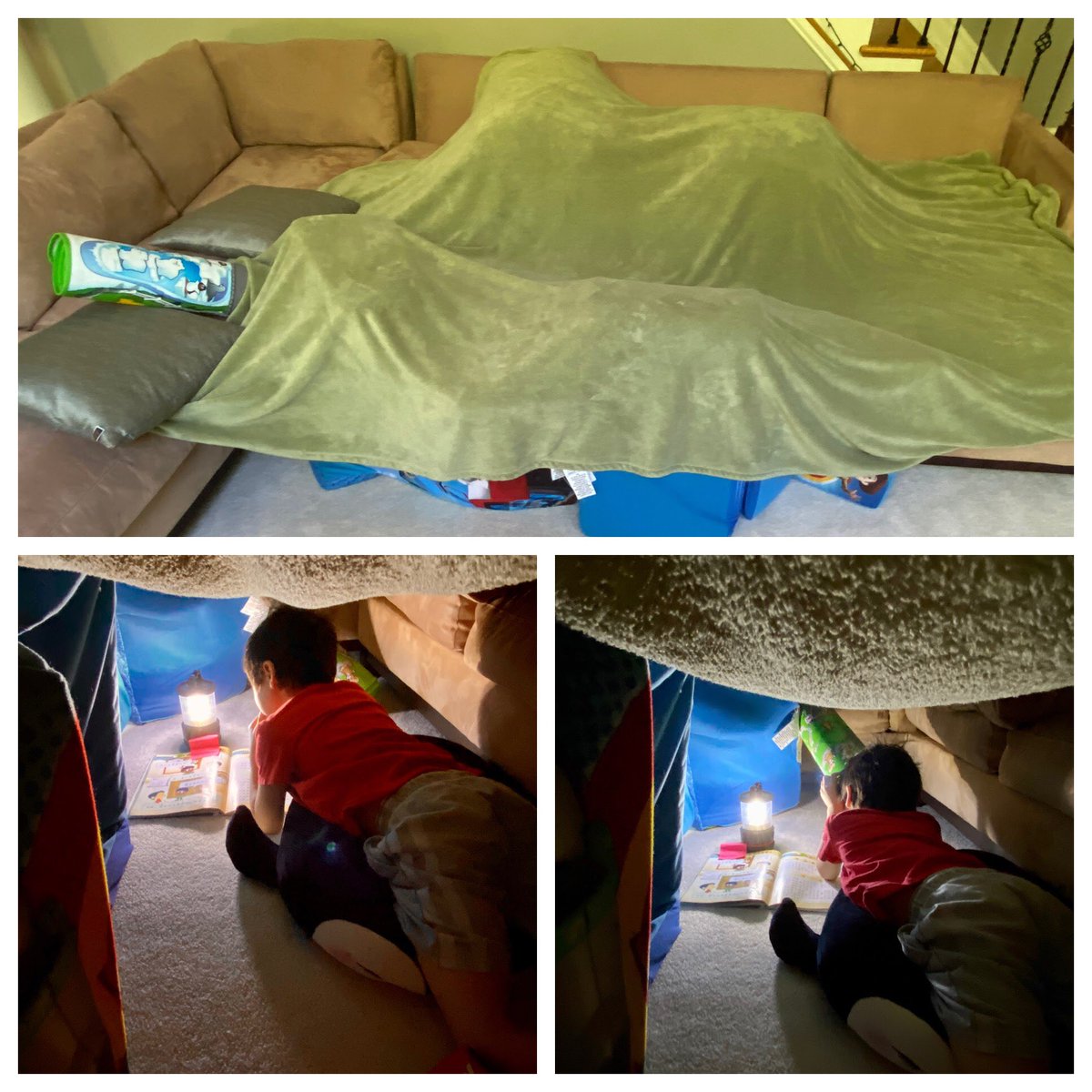 PreissStacey's tweet photo. Who doesn’t love a cool fort to hang out in?! Oliver builds them all the time! This one features a telescope and a secret entrance! @violafirst1 @ViolaAchieves @ViolaDLearn https://t.co/0medXoCd99