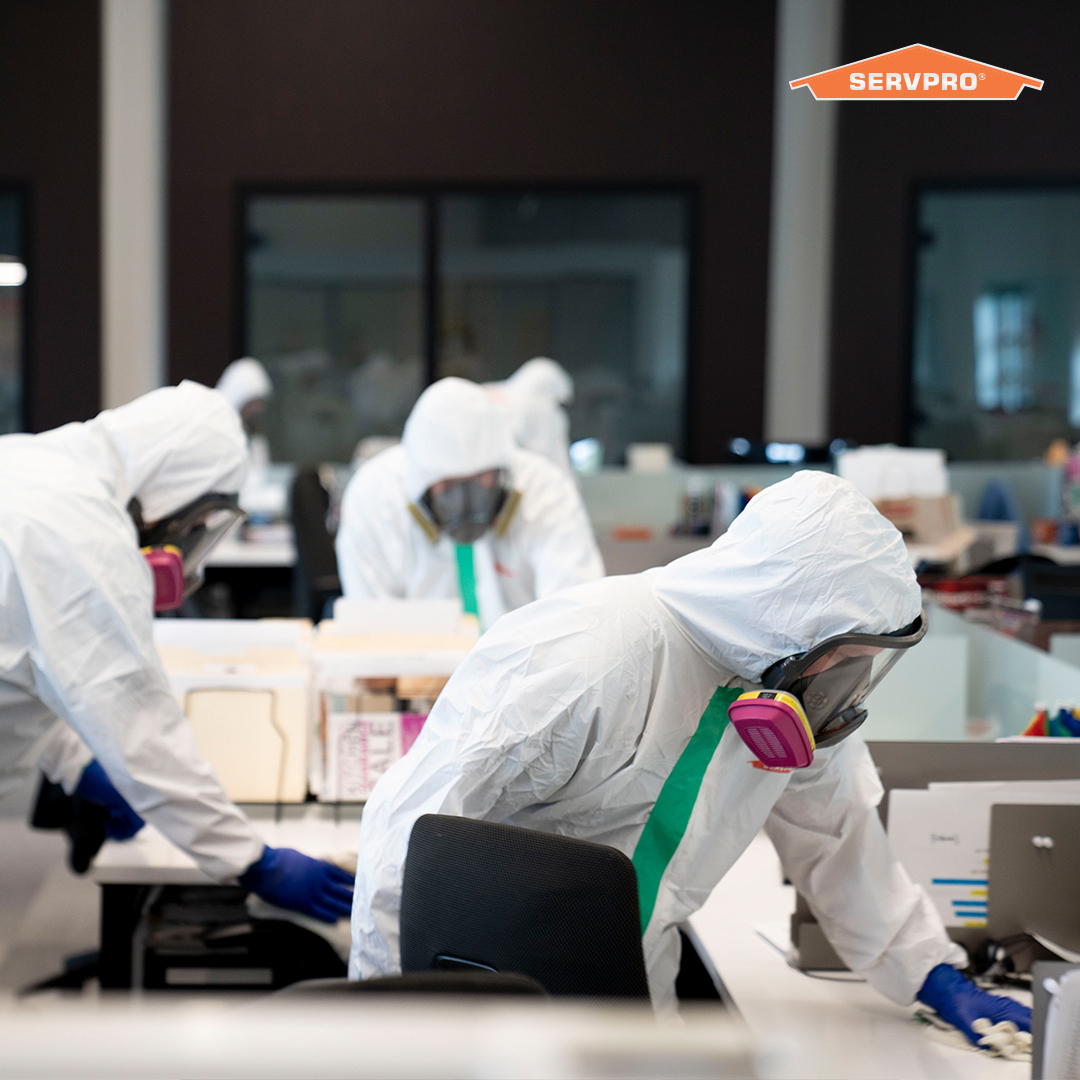 As your favorite stores and
businesses are beginning to
open up their doors, we are
offering them an additional step
to help ensure your confidence
with a higher cleaning standard,
Certified: SERVPRO Cleaned.
For details or quote, visit ow.ly/3yUS50zMDXp