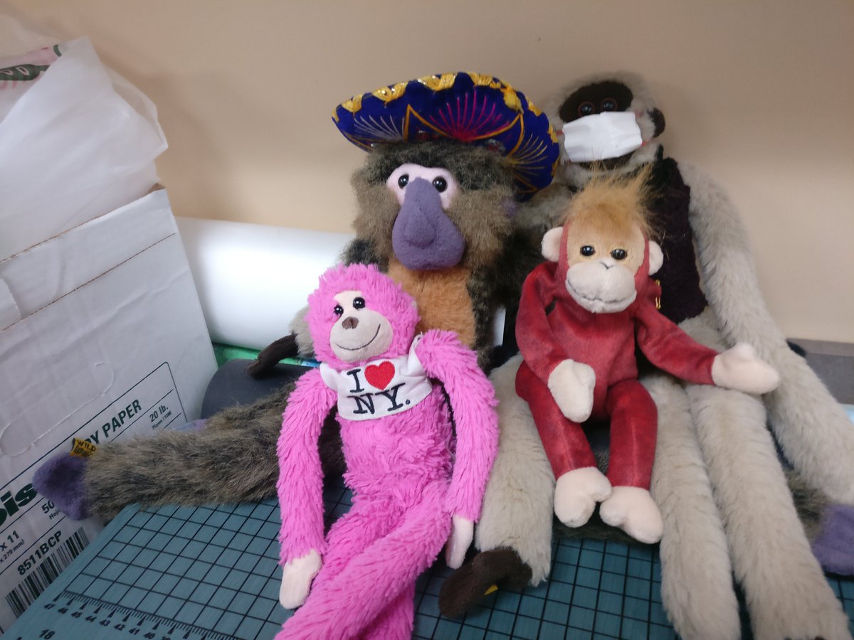 Después de dos meses sin verse a causa la cuarentena casí todos en la familia están juntos. Es una reunión familiar.  #dondeestágordito  #aventurasdelchango