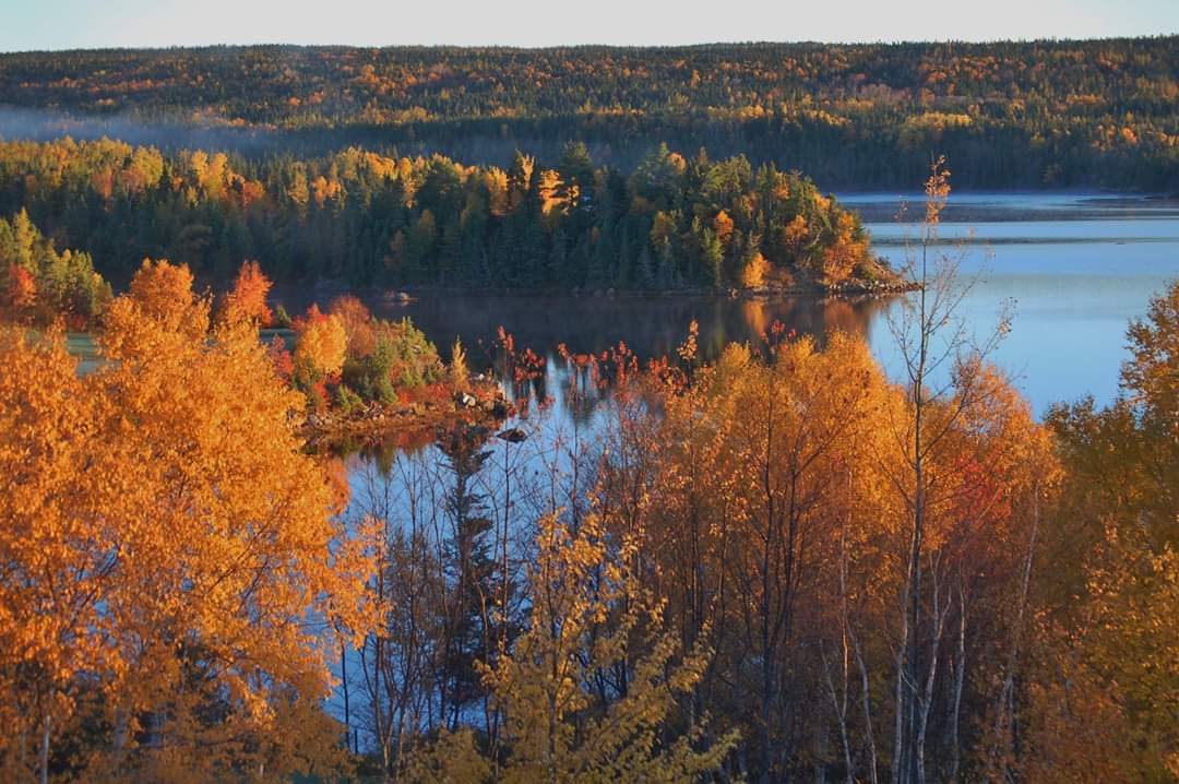 PicturesKnotty's tweet photo. Port Blandford #1. #dreamingofgolf #portblandford #terranova https://t.co/MofK2ooCvB