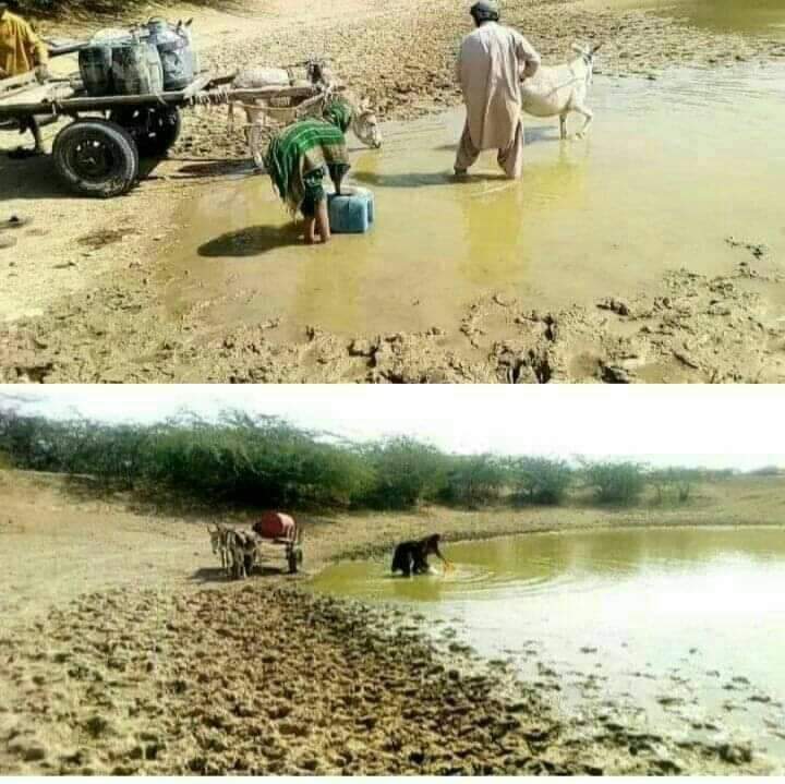 MohammadBuxBro3's tweet photo. #ڪوھستان
جتي لڪ لڳي ۽ اڪ تپن
سو ديس مسافر منھنجو ڙي: https://t.co/yh1rxWYndi