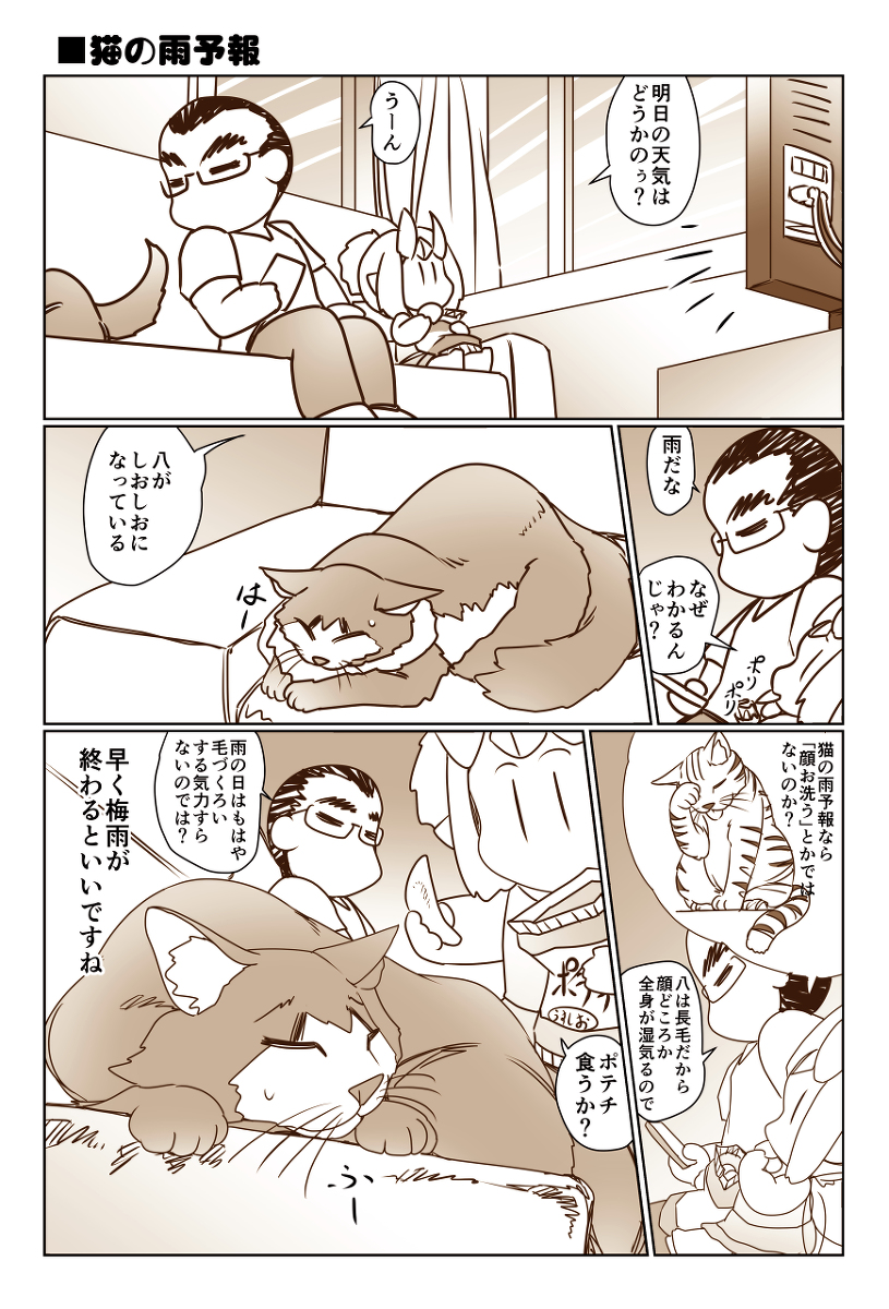 「猫の雨予報」 #漫画 #猫 https://t.co/TYdczjza7J 