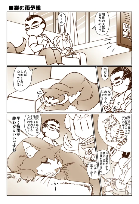 「猫の雨予報」 #漫画 #猫 https://t.co/TYdczjza7J 