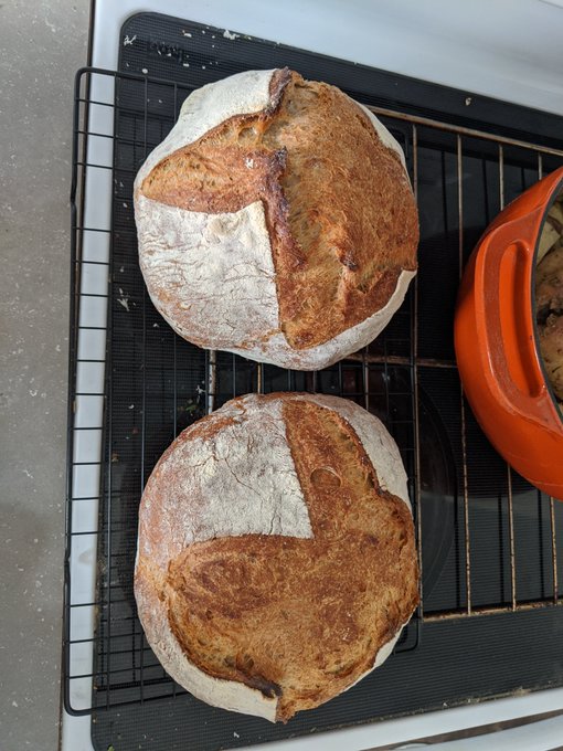 Todays bread and chicken! Thanks to whoever came by ;) https://t.co/tWLrQgfaPB
