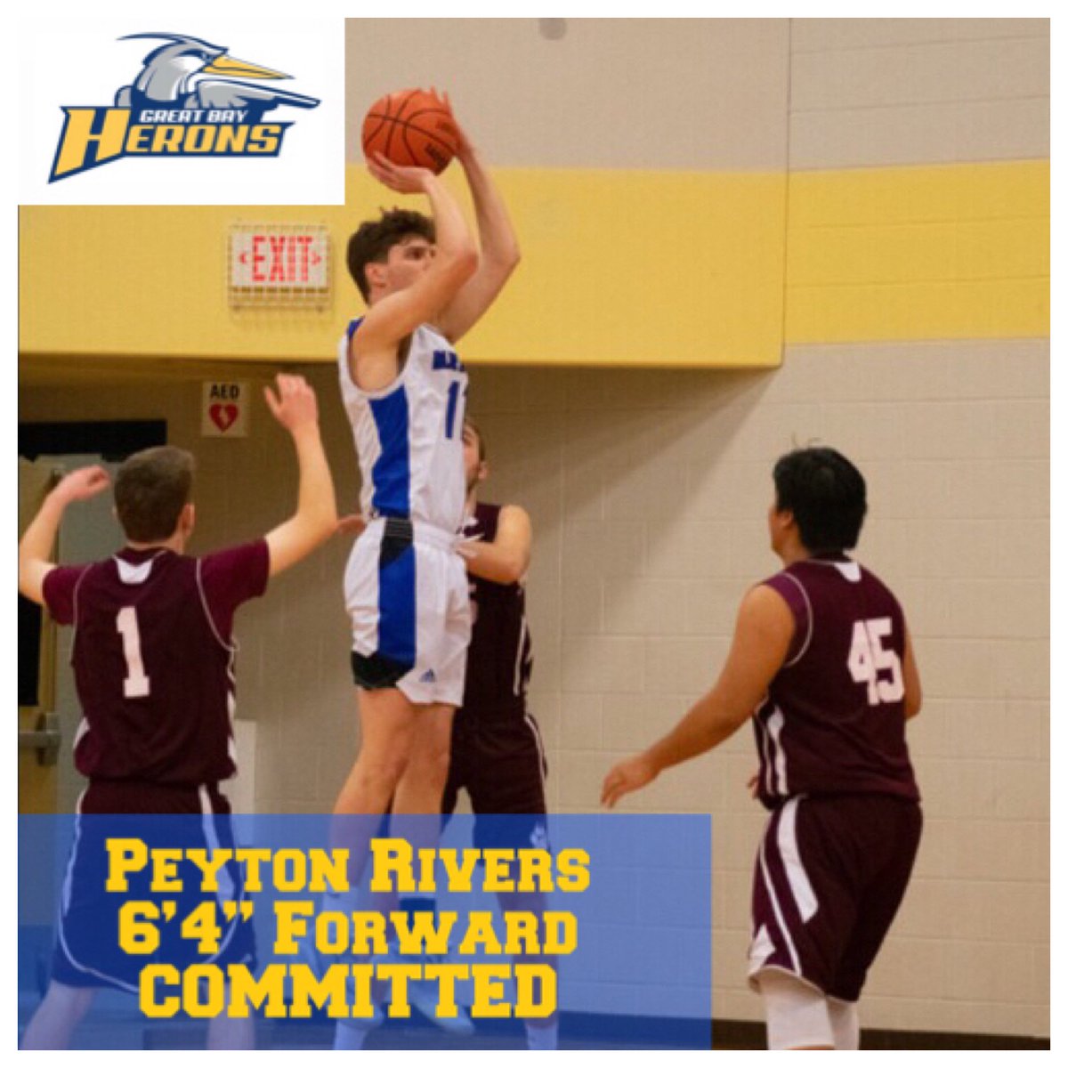 gbccmbball's tweet image. We’re excited to announce our newest Heron, PEYTON RIVERS!! Welcome to the family 🏀 #LetsGoHerons