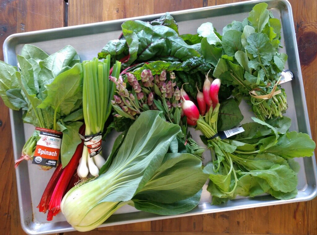100Bowls's tweet photo. A sneak peek at this week’s Seasonal Vegetable bag featuring local, organic produce from @lancasterfarmfresh ! Place your order today for pickup tomorrow 11am-4pm. 

#100bowlsofsoup #100bowls #localproduce #localfood #organic #organicveggies https://t.co/3C5EwXja5K