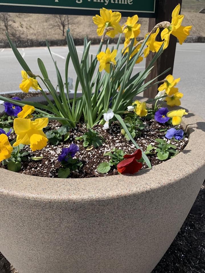 LakePlacidAdk's tweet photo. #LakePlacid is polishing, painting, planting and perfecting. Painting spas, refinishing bars, renovating hotel rooms and so much more. We will be ready when the time is right, to welcome you back with a fresh perspective in the fresh air. #PerfectDayADK #MeetMeInLp #AdksUSA https://t.co/JwD3jcWfpe