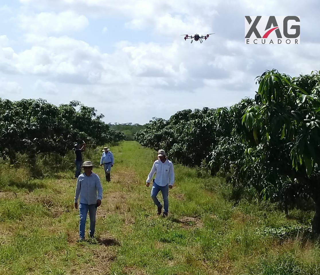 megadrone_ecu's tweet photo. Beneficios de fumigar con drones XAG.Cuenta con tecnologia RTk, con precisión de vuelo y evitación de obstáculos.Contiene boquillas centrífugas anti-tapado,adecuado para diferentes químicos graduando el tamaño de las gotas desde 90 a 300micras.
#XAGEcuador #Megadrone #agricultura https://t.co/BgOYAAlFXC