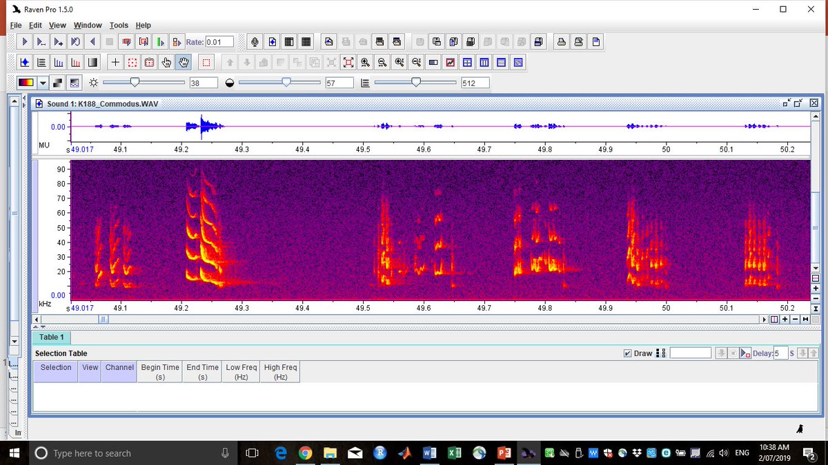 5/6 Their songs are some of the most intense ever recorded - with song rates that rival a lot of songbirds. It is estimated that a single male can produce over 100,000 song phrases per night. ( = the spectrogram of a short tailed bat song)