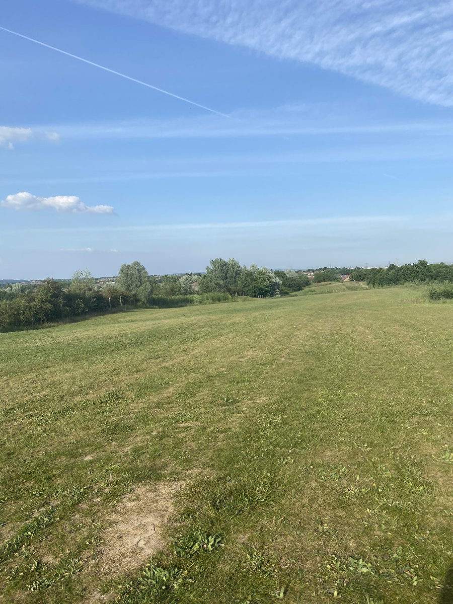 Dr Carly Wood tweet media