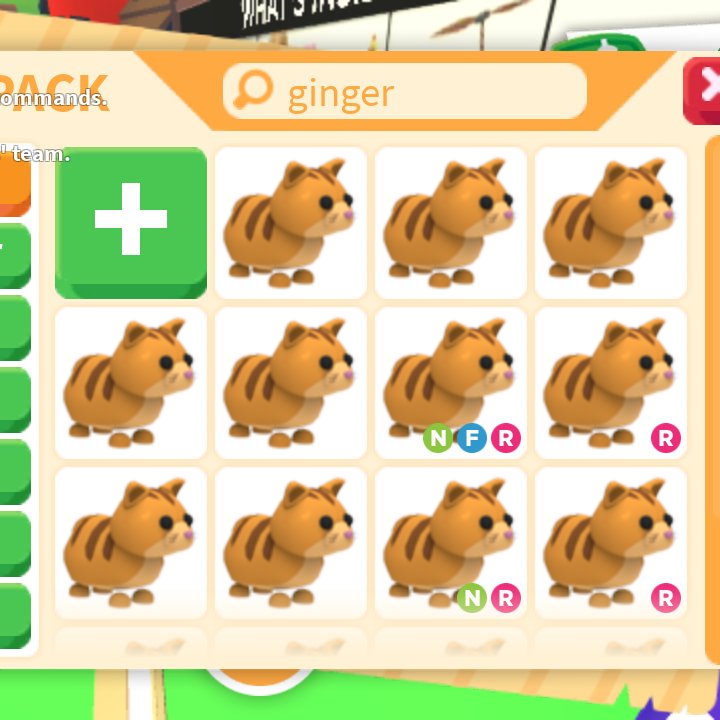 X36Xxi's tweet photo. #adoptmetrades 
Offers on my ginger cats?
Like - nty https://t.co/ElXxmKZzzm