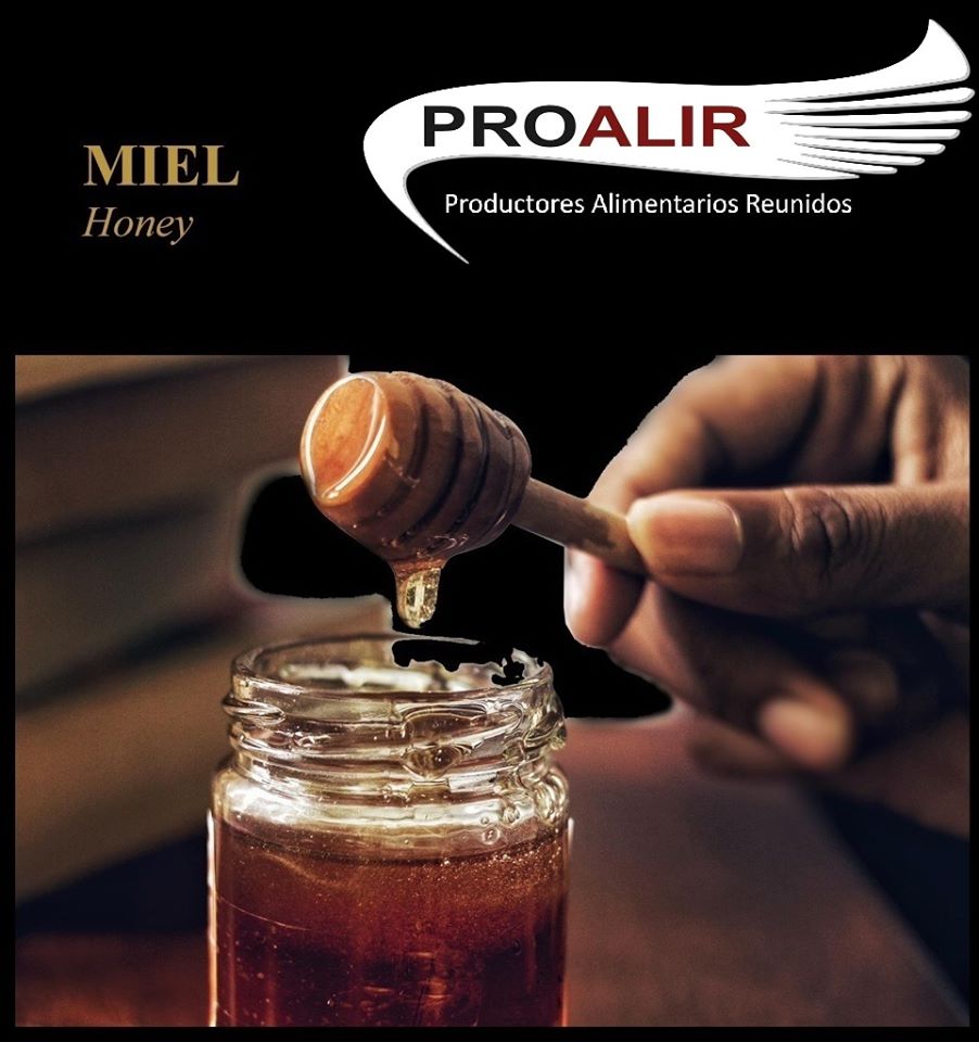 HONEY.- Spain's natural conditions and climatic characteristics make it one of the countries with the greatest biodiversity in Europe, favouring the production of a multitude of varieties of honey (multifloral, rosemary, orange blossom, chestnut etc.), all of the highest quality.