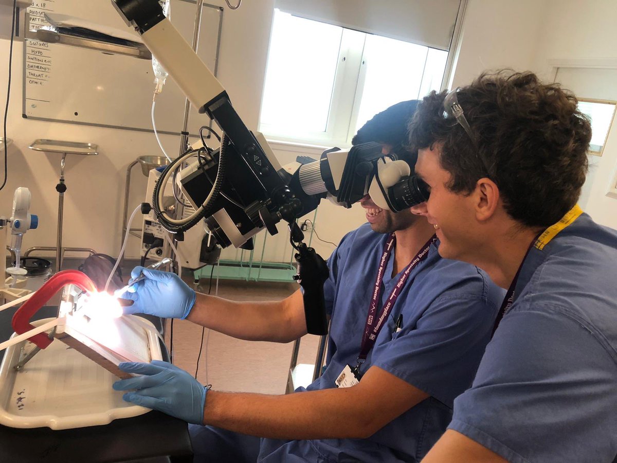 Rory Houston tweet media