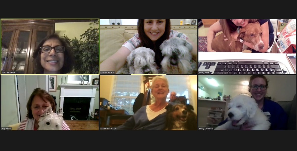 ATLalumnaeDG's tweet photo. We had fun with our sisters and their dogs at last night’s Yappy Hour! #deltagamma #yappyhour #ATLDG https://t.co/cuLyVl7r3C
