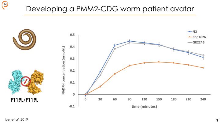 As we described in  https://dmm.biologists.org/content/12/11/dmm040584 the first-ever worm model of  #PMM2-CDG expressing the F119L dimerization-defective variant has reduced phosphomannomutase activity, ~30% of wildtype levels.