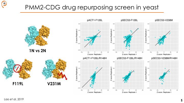 Yeast cell growth is a deceptively simple but statistically robust phenotype. Keeping phenotype constant but varying genotype (dimerization mutant  misfolding mutant or mutation in a haploid  diploid), we identified several possible repurposable drugs or GRAS compounds.