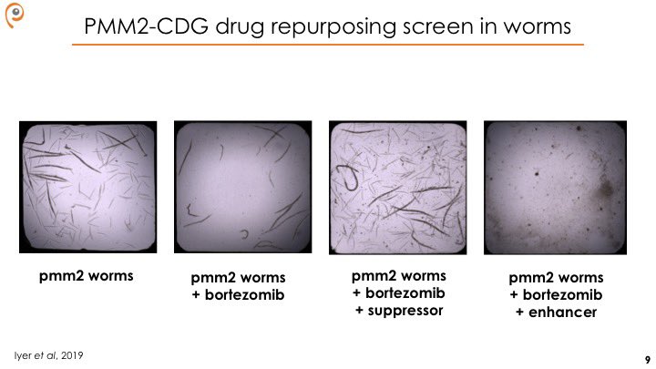 Using an unbiased, whole-animal, high-throughput, image-based phenotypic approach, we screened for compounds that rescue worm growth and development.