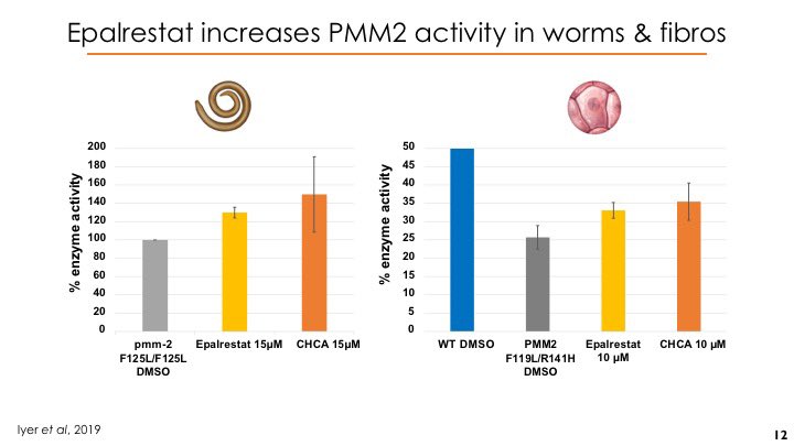 We tested both aldose reductase inhibitors side by side in worms and patient fibroblasts and asked whether the boost PMM2 enzymatic activity.The answer was: yes!