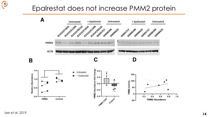 Epalrestat does not appear to increase PMM2 protein abundance, suggesting with a post-translational mechanism of action.