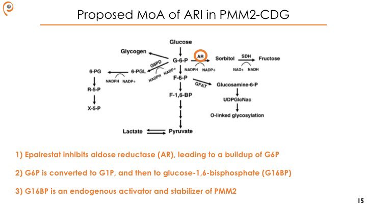 Aldose reductase (AR) is the first enzyme in the polyol pathway, and converts glucose to sorbitol and in the process consumes NADPH.We believe that epalrestat shunts excess glucose toward generation of glucose-1,6-bisphosphate, an endogenous activator of PMM2.