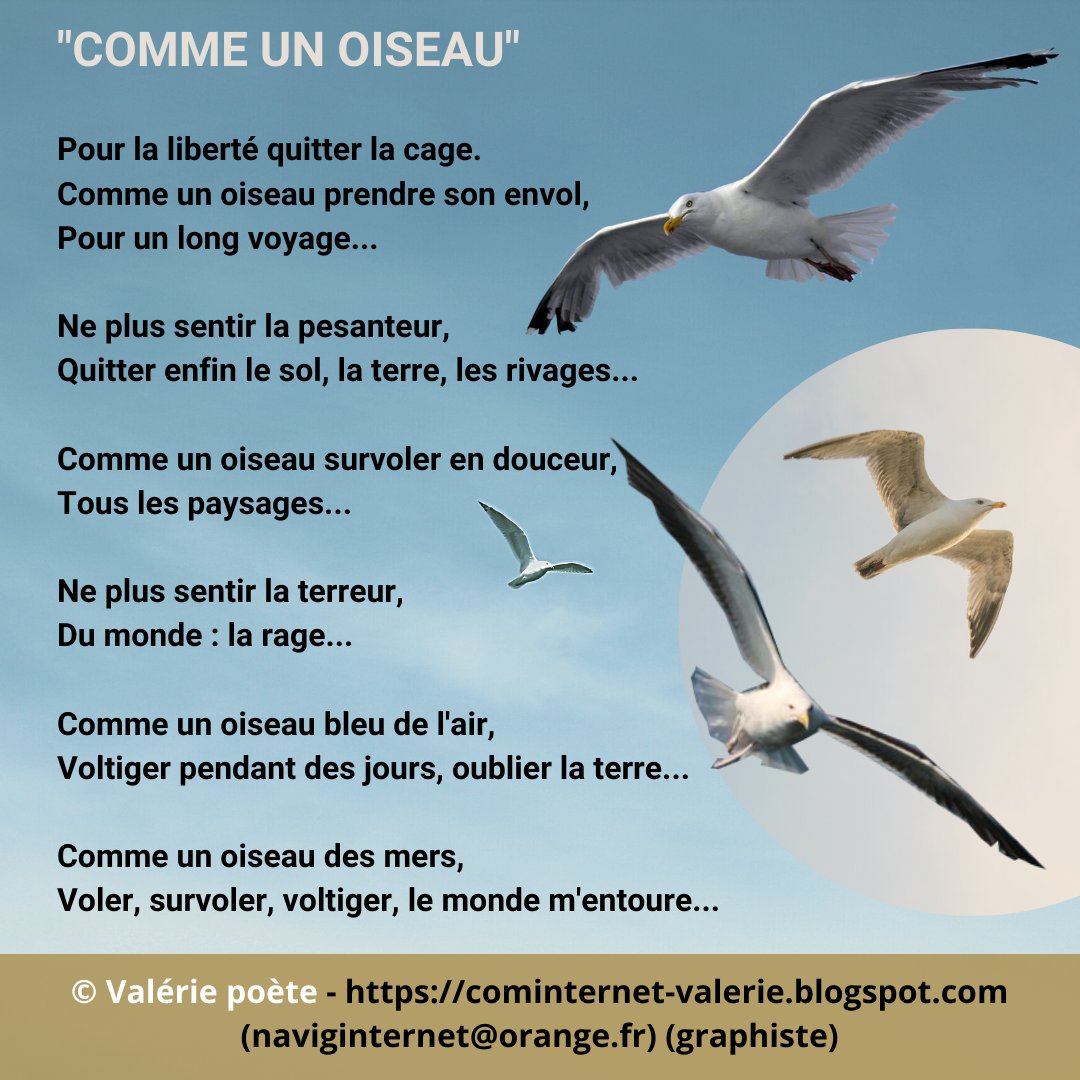 Bruno Tascon Web Designer Graphiste Redacteur T Co 5vviryi4q5 Valeriepoete Poemes Poesies Poesie Poeme Poete Cominternet Oiseau Webdesigner Survoler Moette Goeland Mer Ocean Monde Terre Liberte Cage Bruno Tascon Web Designer Graphiste Redacteur T Co 5vviryi4q5 Valeriepoete Poemes Poesies Poesie Poeme Poete Cominternet Oiseau Webdesigner Survoler Moette Goeland Mer Ocean Monde Terre Liberte Cage