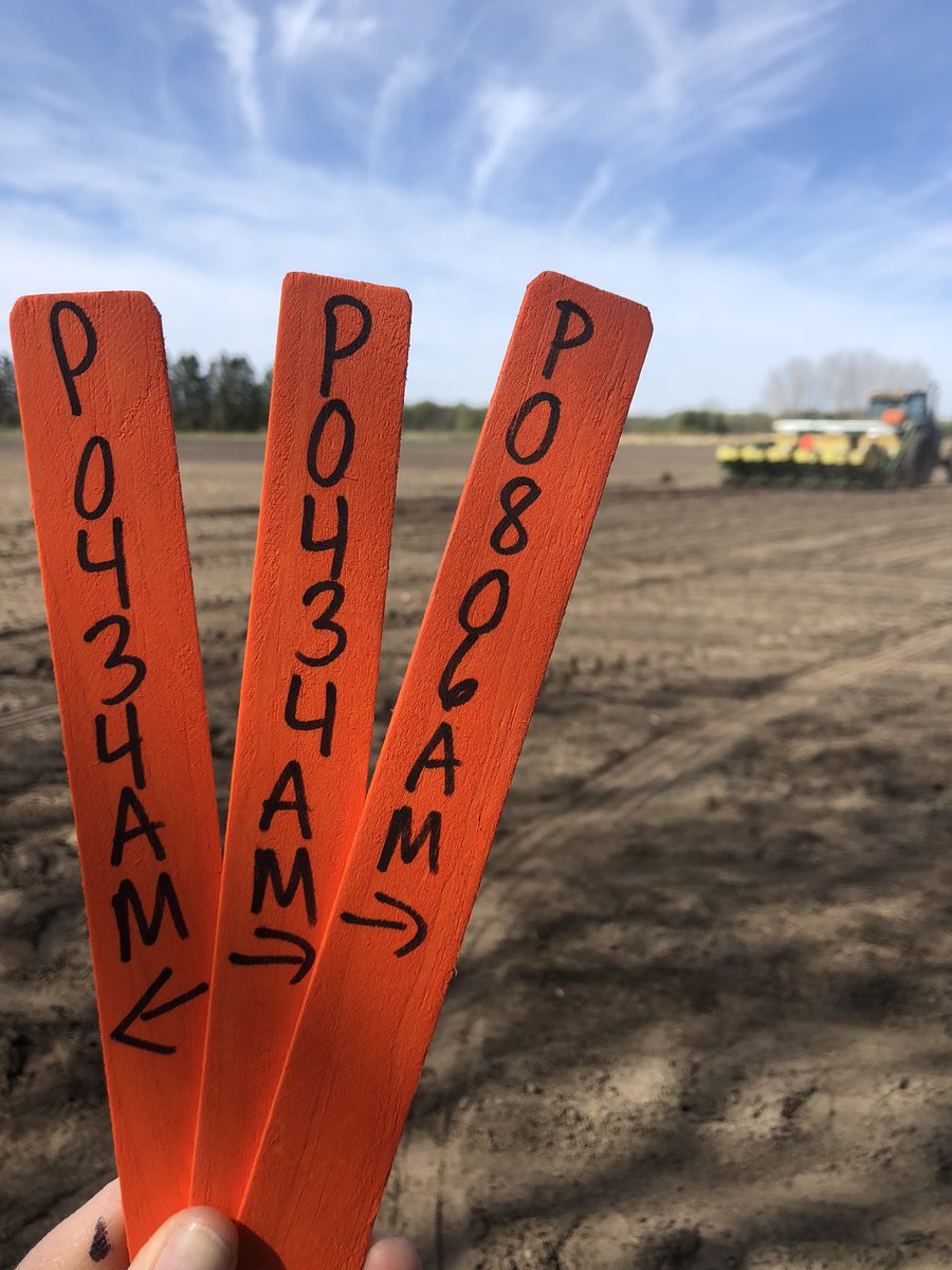Great few days to plant some plots! Always excited to see new products. <a href="/Bryce_Ruppert/">Bryce Ruppert</a> making it easy for me! <a href="/PioneerSeedsCA/">Pioneer Seeds Canada</a> <a href="/hollyloucas/">Holly Loucas</a>