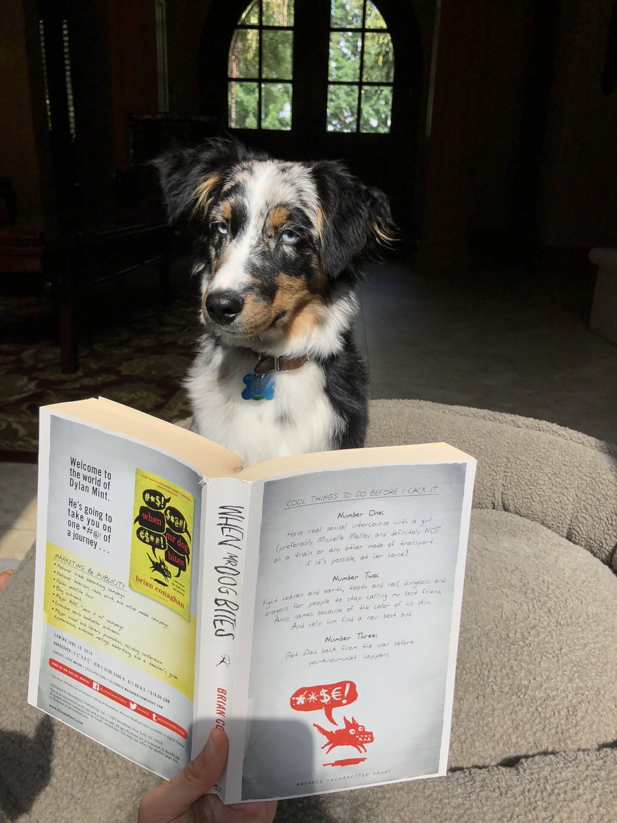 Kuay's tweet photo. @Coppell_Library Dog Days in quarantine featuring “When Mr. Dog Bites” #cozbypetreads https://t.co/bK605o17HK