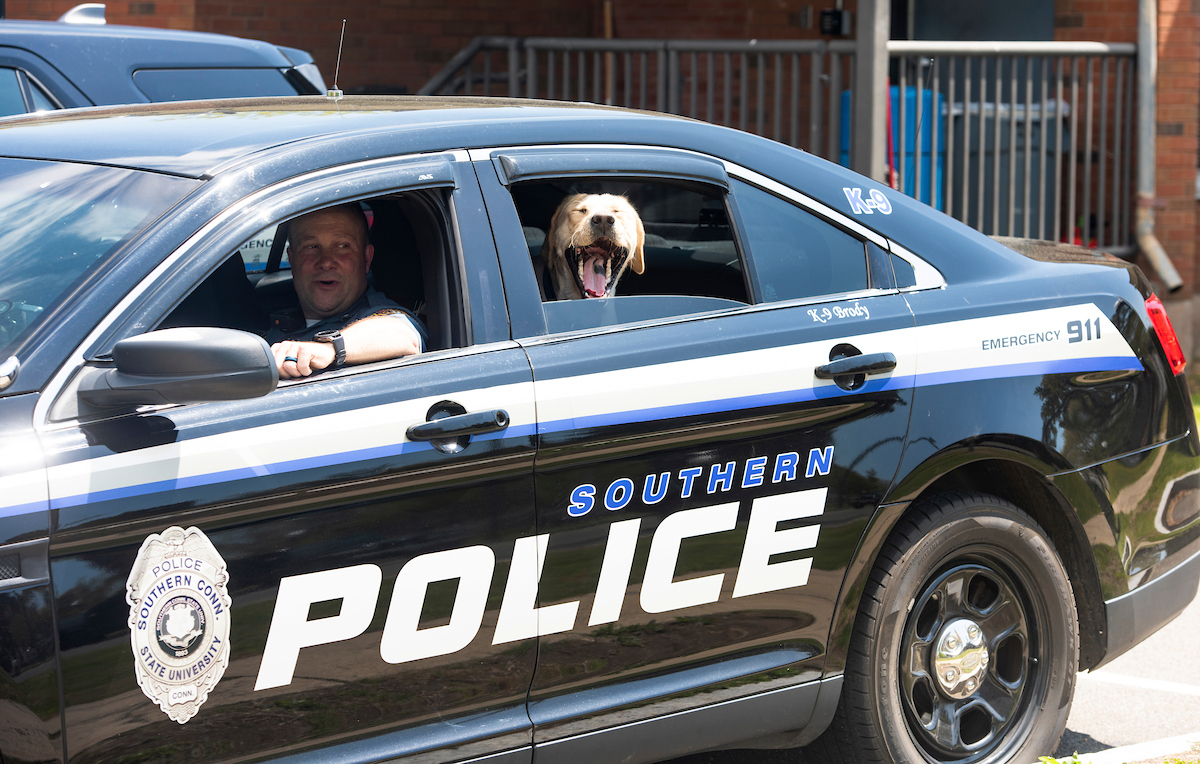 Southern Connecticut State University 🦉 tweet media