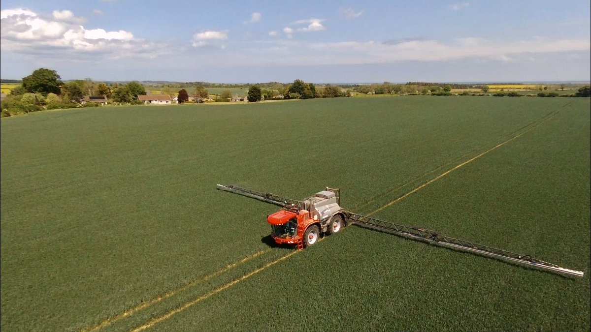 bowsdenhall's tweet photo. Cracking day for Revystar on the real results field today #t2 #gleam @BASFcropUK https://t.co/fhGn6fwWrG
