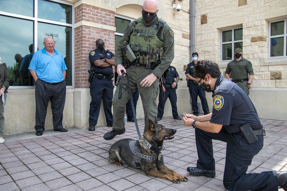 Pf_K9s's tweet photo. Today our K9 officer Isa retired after serving over five years with us. As she exchanges her bulletproof vest for a cape and pink collar, she gains a new purpose in life, but will always be a hero! https://t.co/pSqI45kEM4