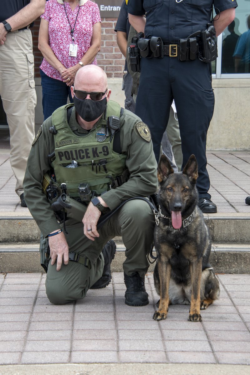Pf_K9s's tweet photo. Today our K9 officer Isa retired after serving over five years with us. As she exchanges her bulletproof vest for a cape and pink collar, she gains a new purpose in life, but will always be a hero! https://t.co/pSqI45kEM4