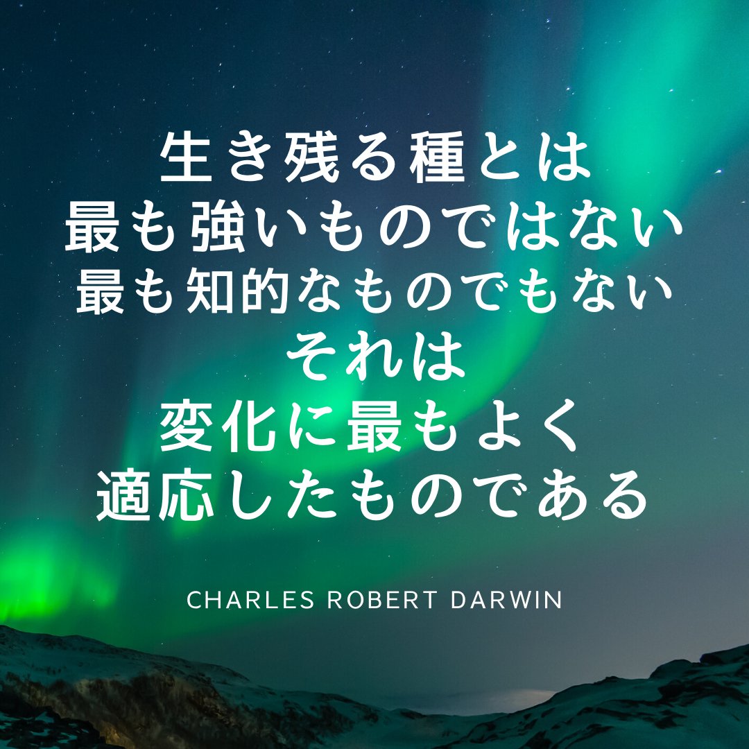 ダーウィン Twitter Search Twitter