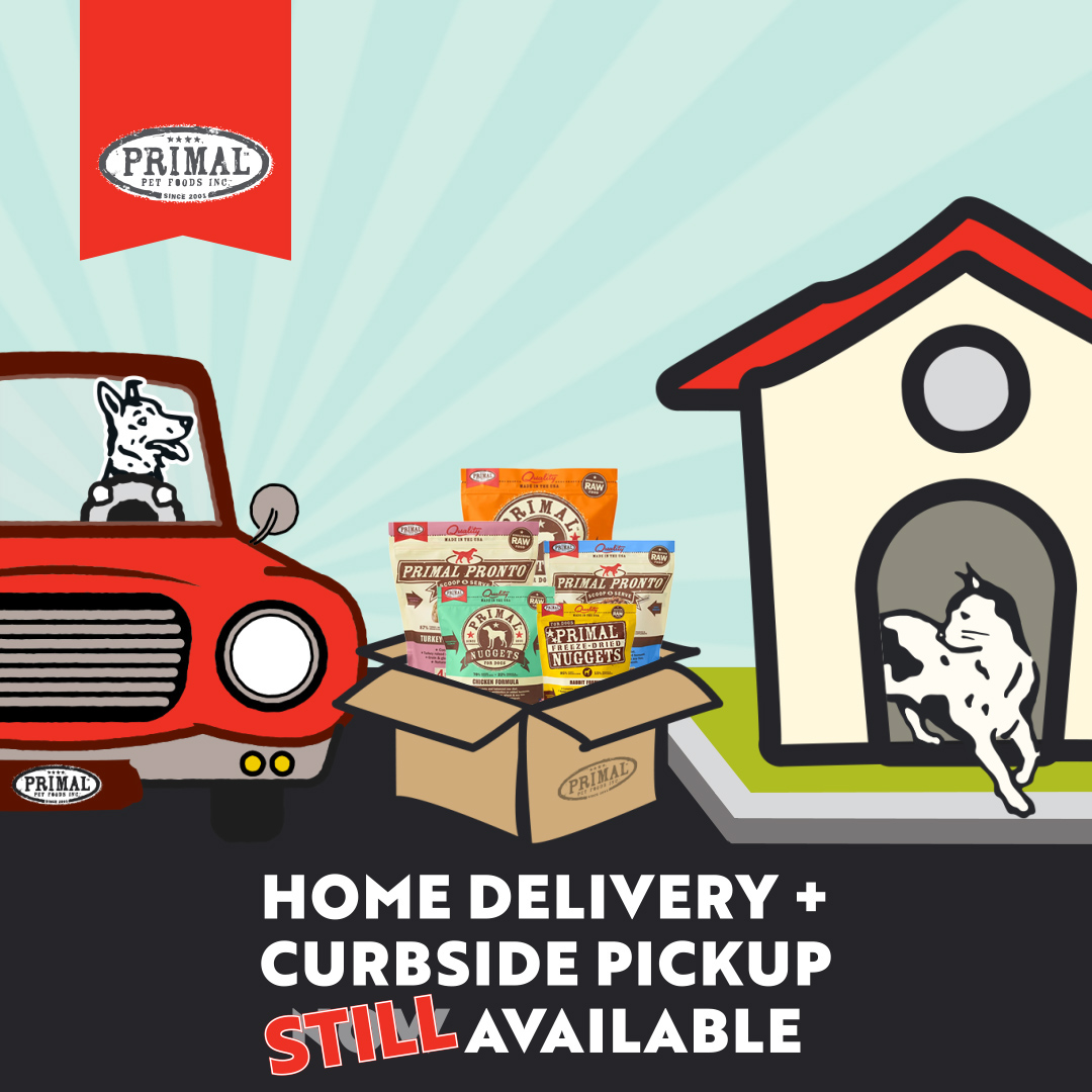 Boofy's Best for Pets (@boofysbest) on Twitter photo Boofy's is committed to keeping all the pets fed and their humans safe! Give us a call at 5058900757 or email us at boofys.orders@gmail.com to get your curbside pickup or local delivery order started. #shoplocal #SupportLocalABQ #albuquerque #ABQ Boofy's is committed to keeping all the pets fed and their humans safe! Give us a call at 5058900757 or email us at boofys.orders@gmail.com to get your curbside pickup or local delivery order started. #shoplocal #SupportLocalABQ #albuquerque #ABQ