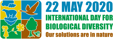 ViridisCon's tweet photo. The UN has proclaimed May 22 The International Day for Biological Diversity (IDB) to increase understanding and awareness of biodiversity issues.

The theme for 2020 is "The solutions are in nature", and there are a host of activities to check out.

https://t.co/W6waaNQLq2 https://t.co/FjR1RQ7Fnx