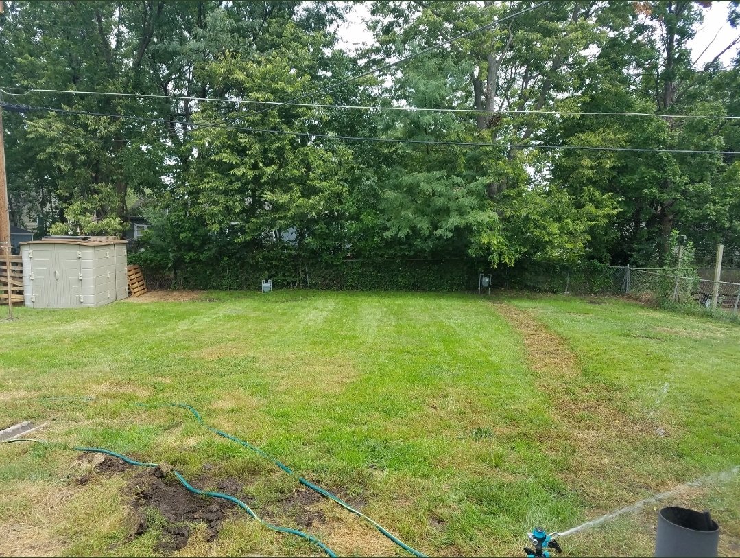 Yard27746186's tweet photo. 3rd year of a combination of @Grass_Pad_Inc Uncle's Idiot Proof Lawn Care Program &amp; @Milorganite 

#KCMTL #EnjoyTheMow #lawncare #TBThursday https://t.co/vFS7DnvqM6
